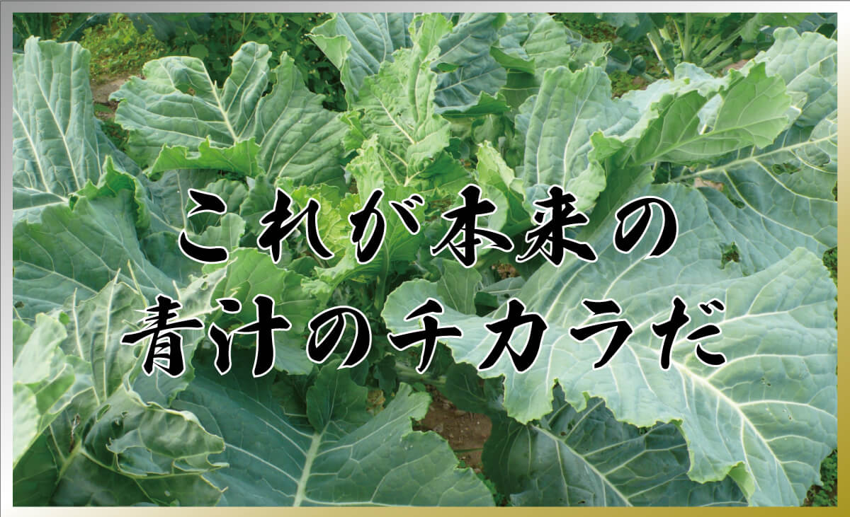 公式 ちょらの青汁 これが本来の 青汁のチカラだ