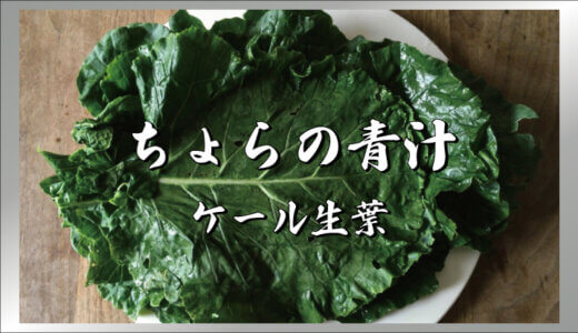 ちょらの青汁【生葉】日本No.1の鮮度を目指したケール生葉